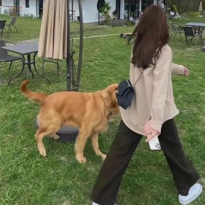 慈悲